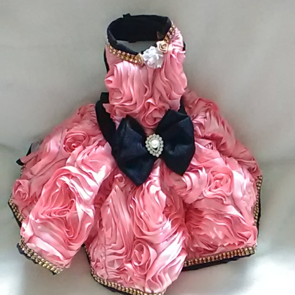 Fancy dog dress
